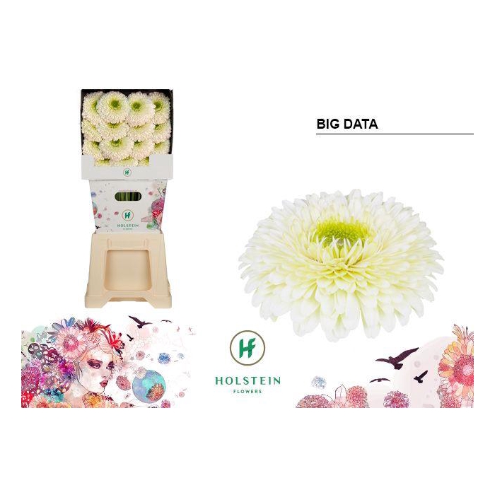 <h4>Ge Gb Gerp Big Data</h4>