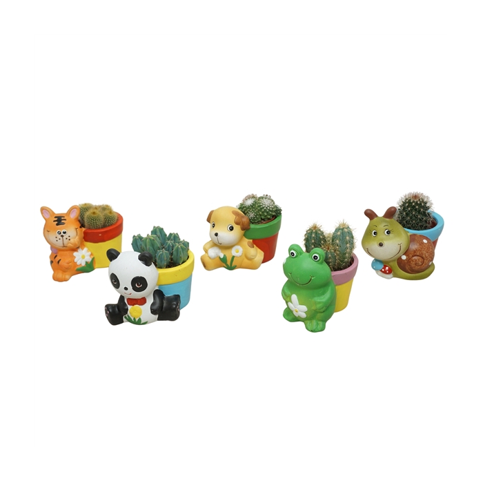 <h4>Cactus mix 5,5 cm in planter dierfiguren (Nieuw model)</h4>