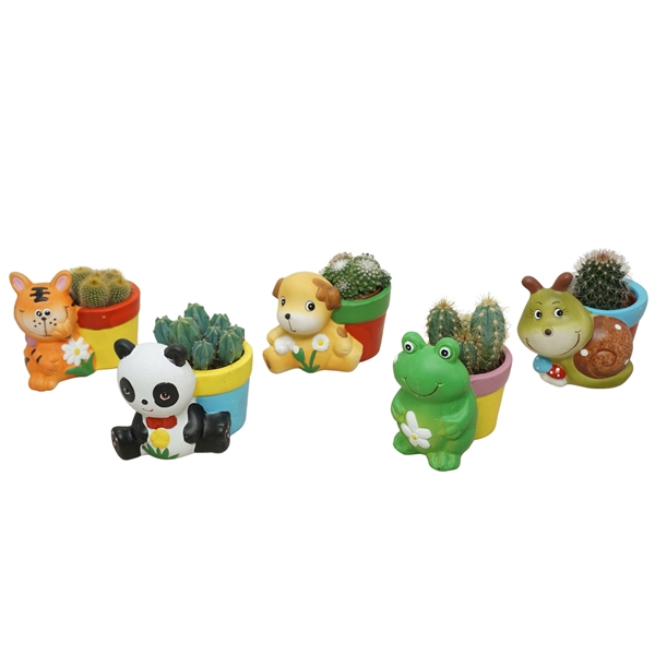 Cactus mix 5,5 cm in planter dierfiguren (Nieuw model)