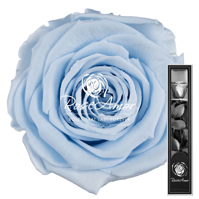 30cm Stem Blu89