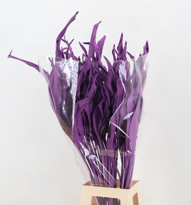 <h4>DROOGBL BEWERKT H%</h4>