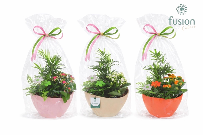 <h4>Biologisch afbreekbare schaal Medium met arrangement</h4>