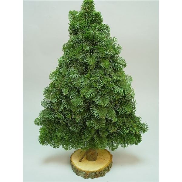 <h4>2D decoratieve bomen 2 zijdig op voet Nobilis 80cm</h4>