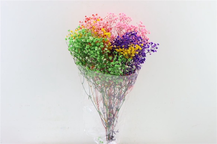 Pres Gyps Mixed Bunch Slv