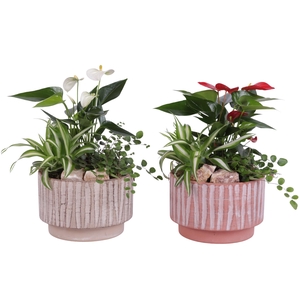 Yearround Arr. Indoor Ceramic Natural Touch NT667 Ø17cm 3PP