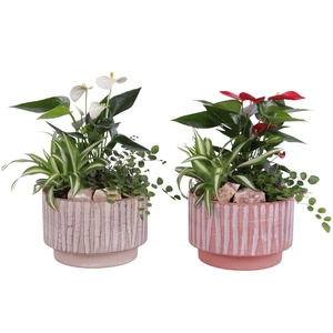 Yearround Arr. Indoor Ceramic Natural Touch NT667 Ø17cm 3PP