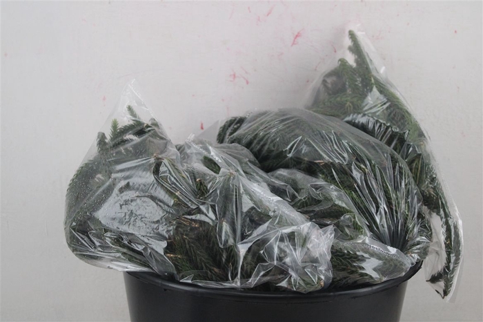 <h4>Araucaria Naturel P Bag</h4>