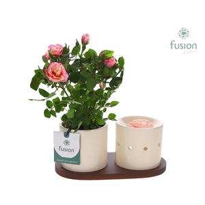 Fusion Scents keramiek Gift set plankje met Potroos