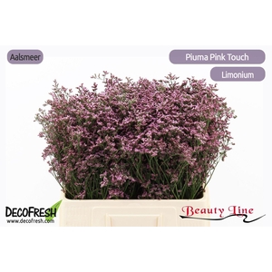 LIM PIUMA PINK TOUCH