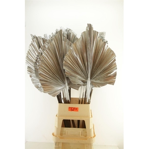 Droog Robusta Silver