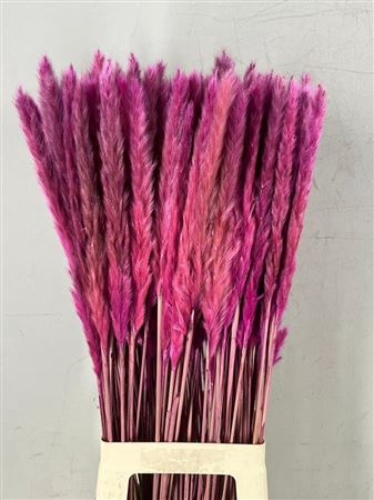 <h4>Df Pampas Silvy Bs 10pc Purple</h4>