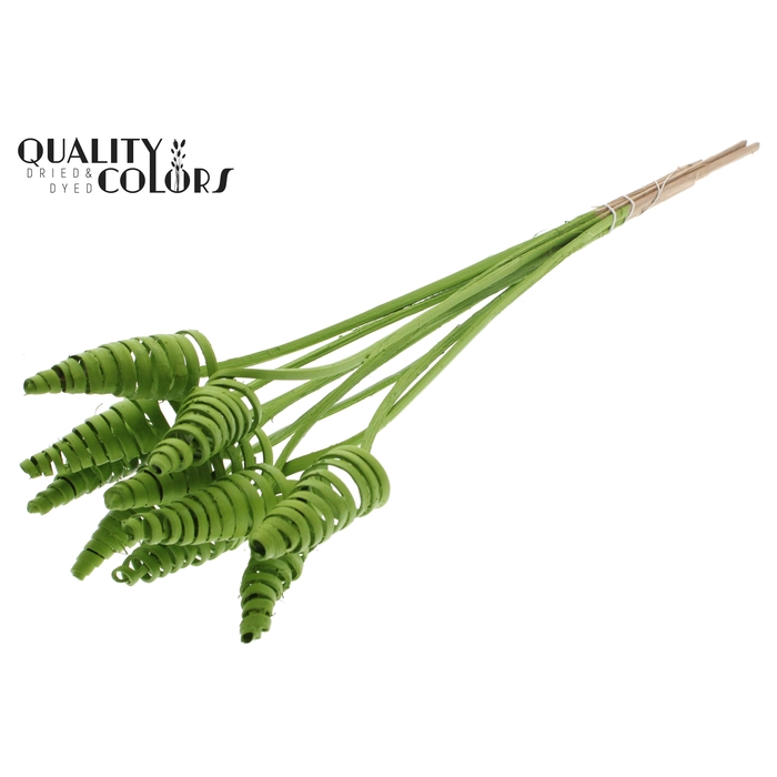 <h4>Cane Cone on stem Covered Light Green</h4>