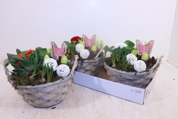 <h4>ARR PL IN SCHAAL</h4>