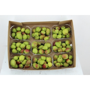 MALUS GREEN RED IN BOX