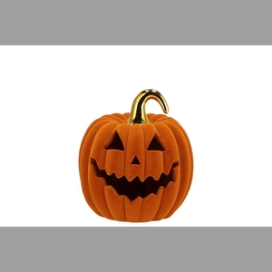 Autumn Flock Scottish Spice Pumpkin Face Led 13x13x14cm Nm