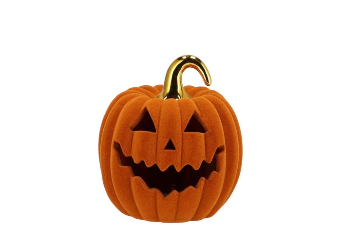 <h4>Autumn Flock Scottish Spice Pumpkin Face Led 13x13x14cm Nm</h4>