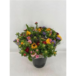 BQT SUMMERFLOWERS COLOR