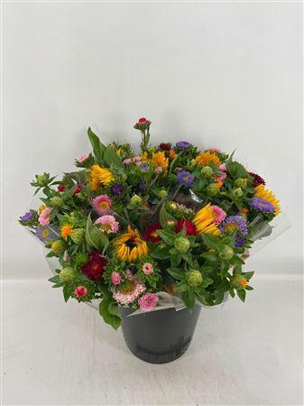 <h4>BQT SUMMERFLOWERS COLOR</h4>