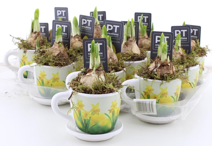 <h4>ARR N TETE A TETE</h4>