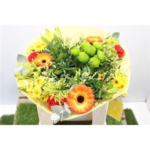 Gem Boe Middel Oranje 25 Stelen Vers