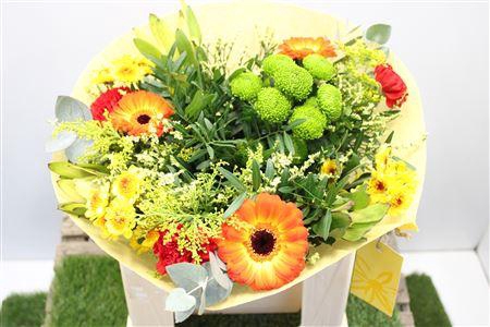 <h4>Gem Boe Middel Oranje 25 Stelen Vers</h4>