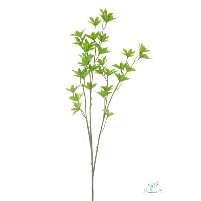 <h4>SILK FLOWERS - SPRING LEAF ACER SPRAY GREEN 75CM</h4>