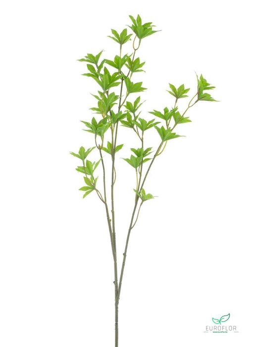 SILK FLOWERS - SPRING LEAF ACER SPRAY GREEN 75CM