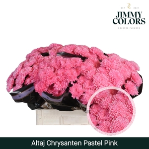 Chr T Altaj Pastel Pink