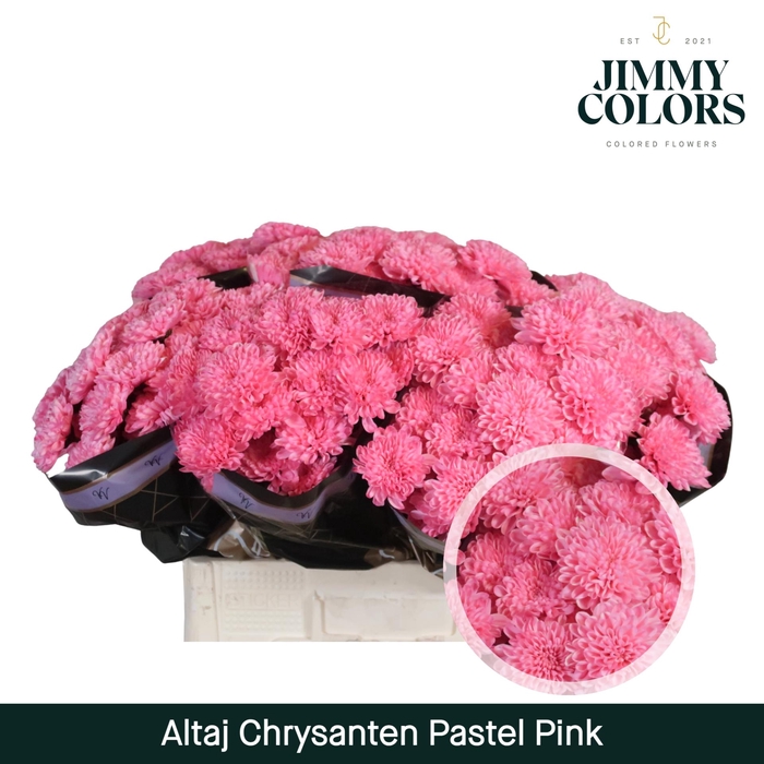 <h4>Chr T Altaj Pastel Pink</h4>