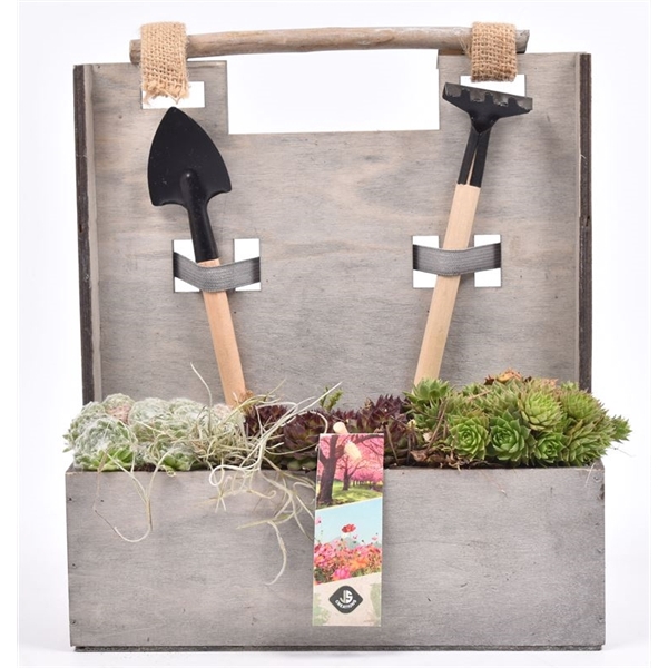 <h4>Houten tuinset 24x10cm</h4>