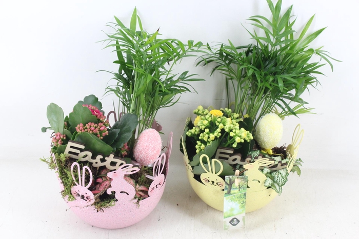 <h4>arr2 JS - Zink bolschaal paas fig.</h4>