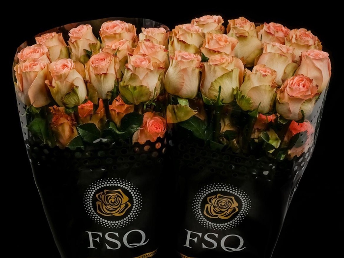 <h4>R GR Country Home Box</h4>