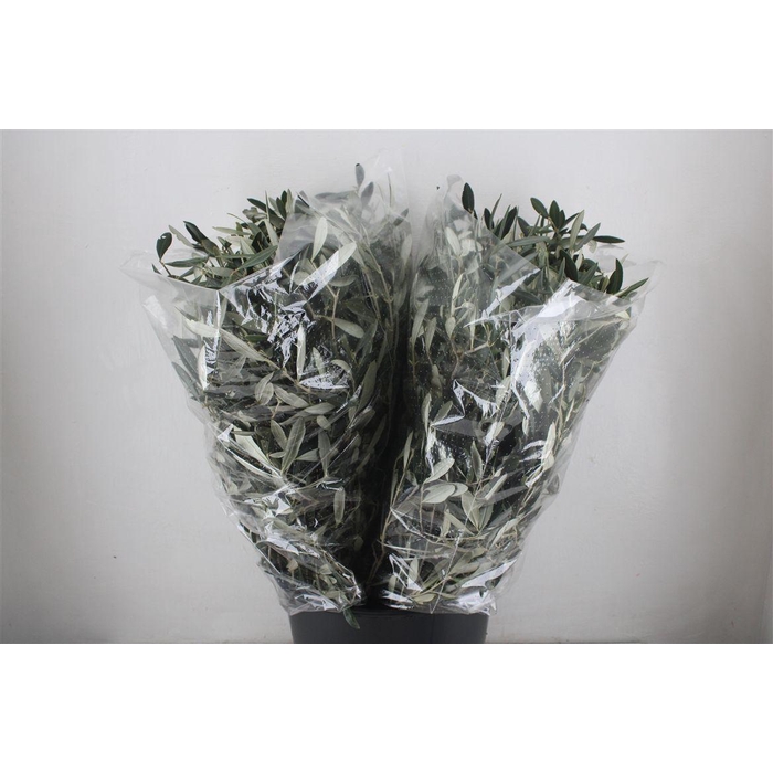 <h4>Olijf 200gr P Bunch</h4>