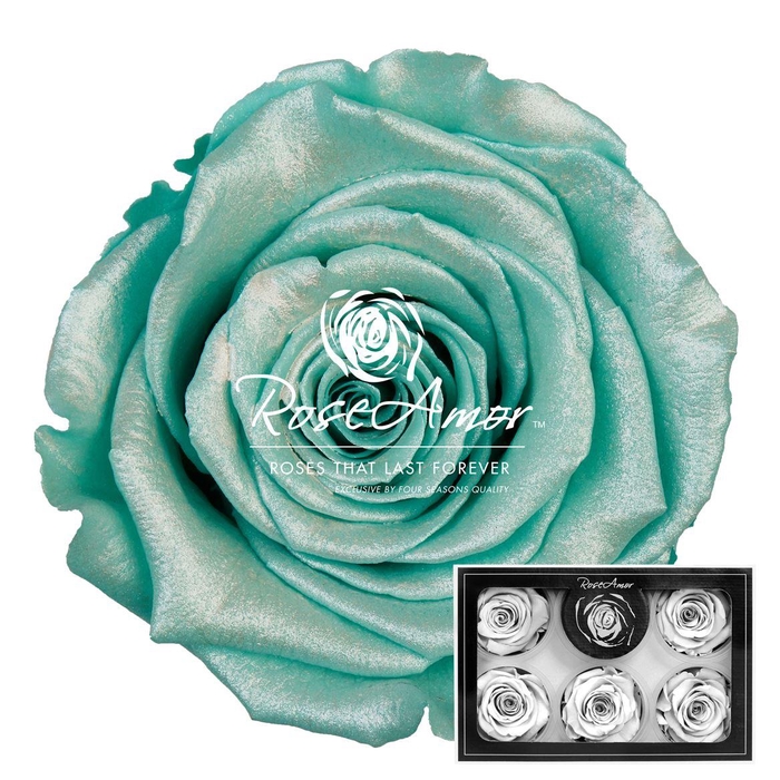 <h4>Xl Satin Tiffany Blu02</h4>