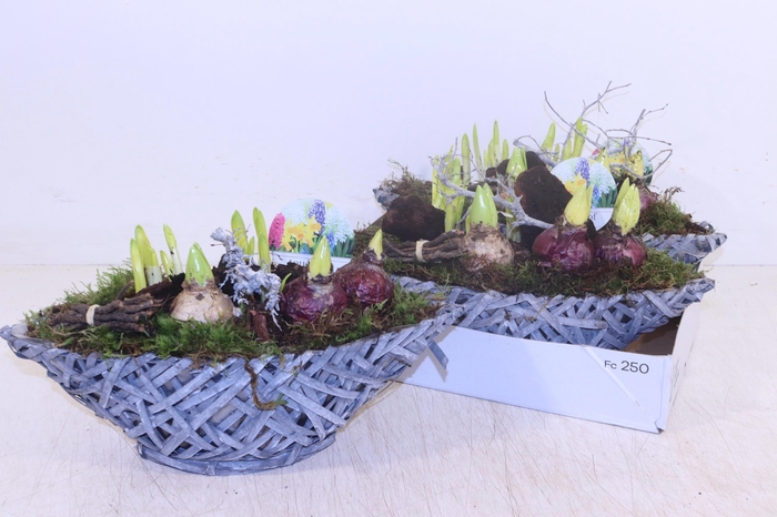 <h4>ARR BOL KNOLGEWAS</h4>