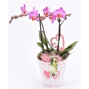 Keramiek pot met hart decor 11CM