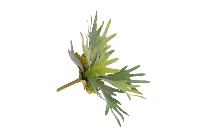 <h4>Silk Fern Staghorn In Pot Green 36cm</h4>
