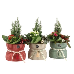 61568: X-mas arrangement