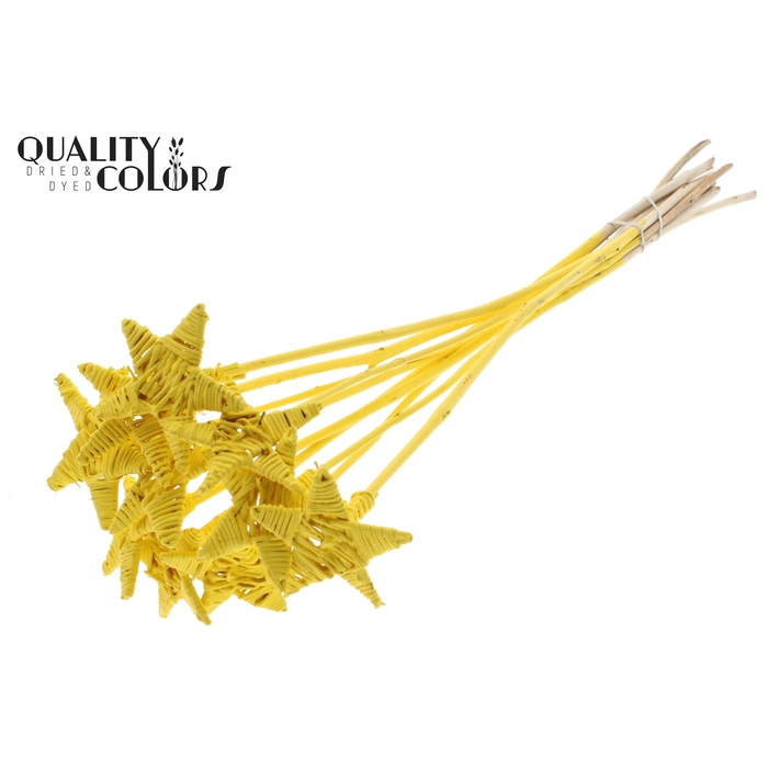 <h4>Lata Star on stem Covered Yellow</h4>