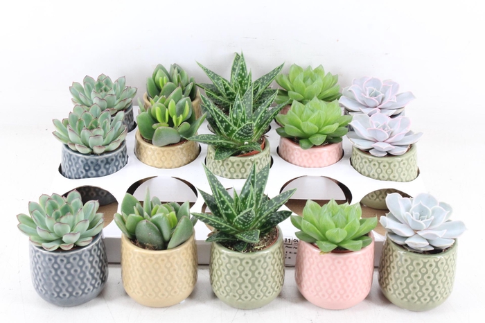 <h4>arr3 OV - Ker. Sao Paulo</h4>