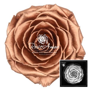 Bonita Metallic Copper