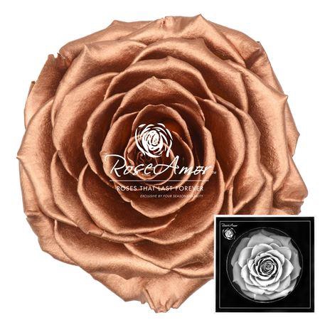 <h4>Bonita Metallic Copper</h4>