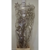 CORYL AV CONTORTA 2-JARIG 140CM