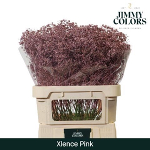 Gyps Xlence L80 Mtlc. Rose gold