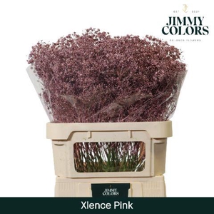 Gyps Xlence L80 Mtlc. Rose gold