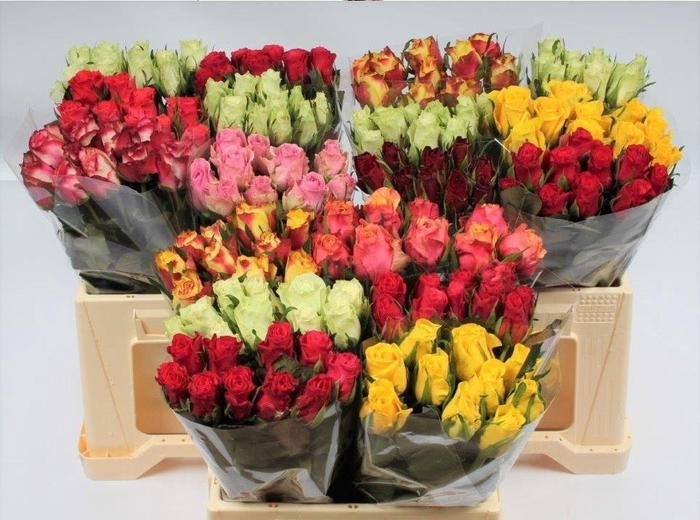 <h4>R KL GEM IN FUST</h4>