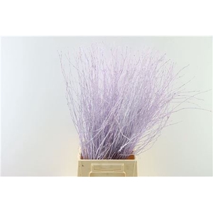BERK 70CM MILKA BUNCH