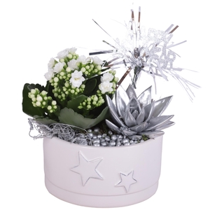 New Year Arr. Indoor Ceramic Pot Round Star Relief Ø15cm 2PP