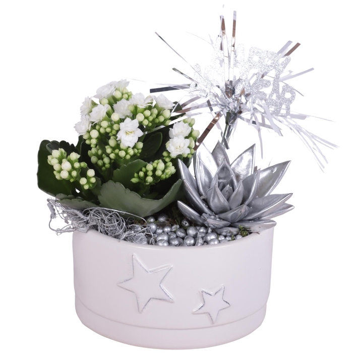 <h4>New Year Arr. Indoor Ceramic Pot Round Star Relief Ø15cm 2PP</h4>