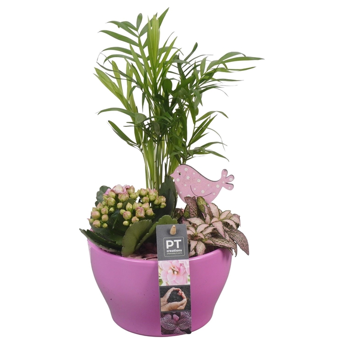 <h4>Arr.   Planten L%</h4>